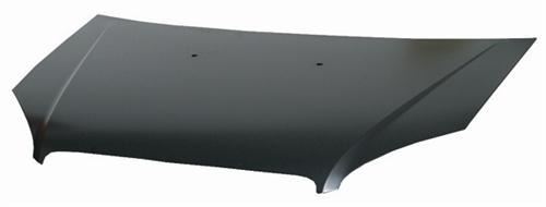 F.DOBLO MOTOR KAPUTU 06-